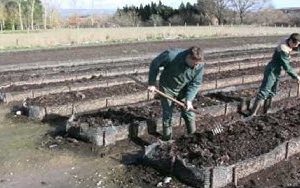 CONDUITE D UN ELEVAGE DE LOMBRICULTURE CHEZ AGRIVER