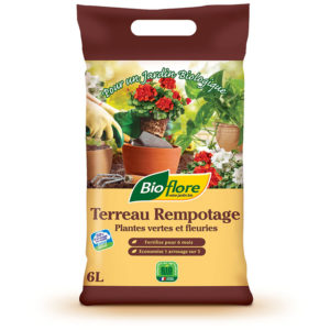 Terreau Rempotage