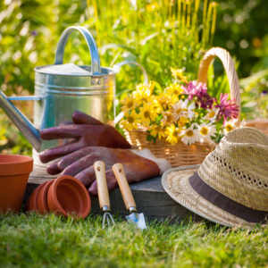 Que faire au jardin au mois d&rsquo;avril ?