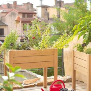 Un potager en pots sur mon balcon Un potager en pots sur mon balcon