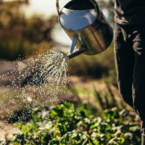 Que faire au jardin au mois de Septembre ? Que faire au jardin au mois de Septembre ?